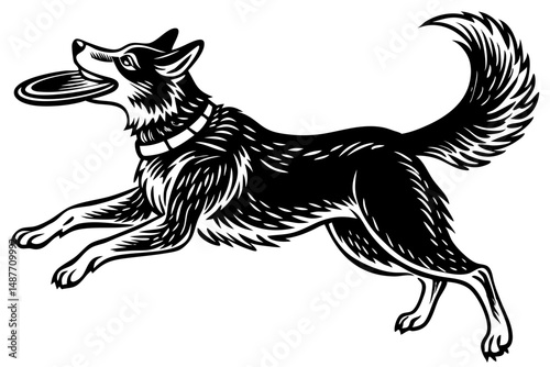 Black silhouette dog catching frisbee in side view with transparency, dog, frisbee, silhouette, side view, animal, pet, canine, playful, sport, catch, vector, graphic, design, illustration, black, tra