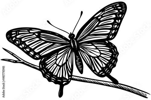 Elegant black silhouette butterfly perched on a branch in three quarter view, butterfly, branch, silhouette, vector, black, nature, insect, wings, art, design, illustration, graphic, isolated, animal,