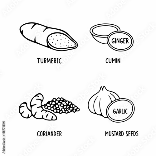 Hand-Drawn Line Art Collection of Indian Spices and Curry Ingredients for Cooking Classes and Ethnic Restaurant Branding.