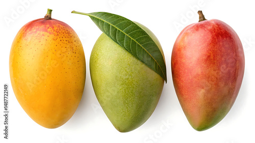 alphonso, langra and himsagar mango isolated on a white background