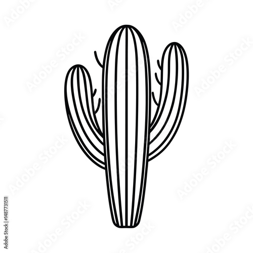 vector illustration of a cactus