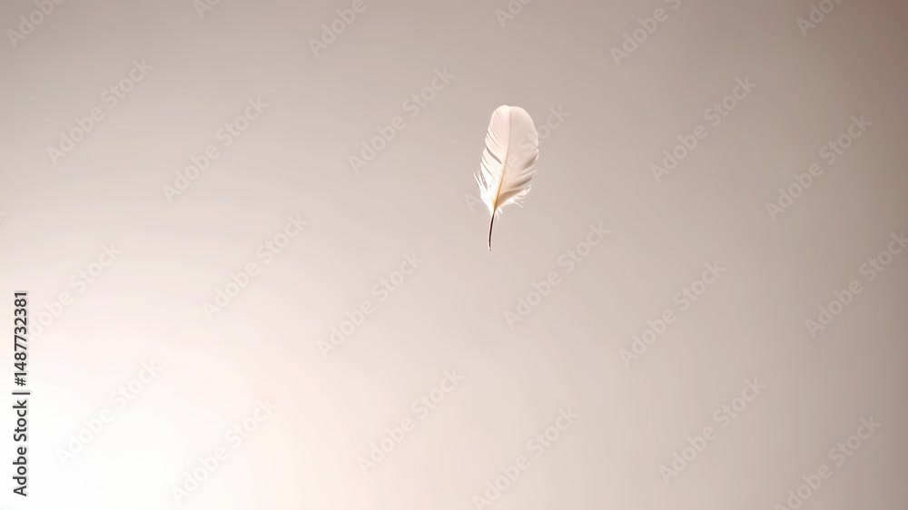 Delicate feather falling, soft lighting creates a soothing and airy ambience with a plain light background and a sense of lightness and floating.
