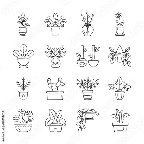 Check this captivating hand drawn collection depicting indoor plants
