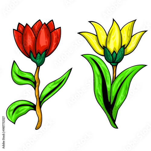 red and yellow flower illustration for design, background, and beautify the design