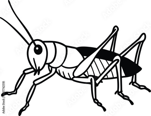 A black bug with a long antennae. It is walking on the ground. It is a grasshopper