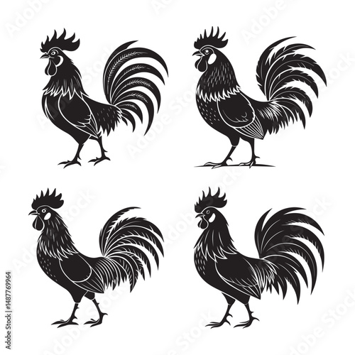 rooster and hen