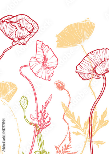 A4, A3, poppy bouquet vector hand drawn illustration. Art print with elegant line art red and yellow summer flowers. Highly detailed and high quality graphic asset for online and print. 