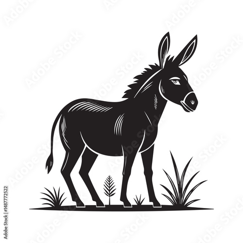 donkey vector illustration