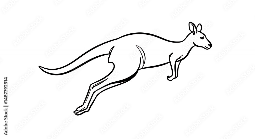 Fototapeta premium Kangaroo illustration