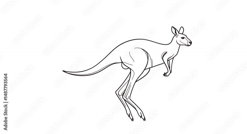 Fototapeta premium Kangaroo line drawing illustration