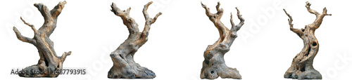 Collection of Isolated Old Textured Roots With Transparent Background Elements