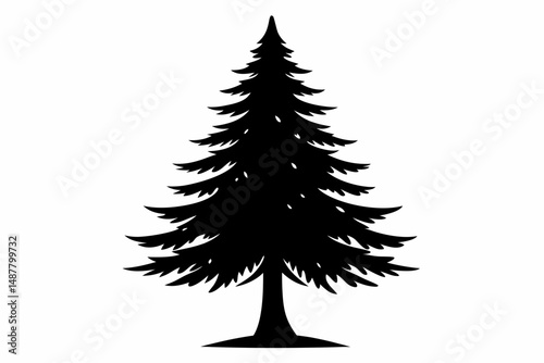 spruce tree silhouette line art vector illustration with a white background