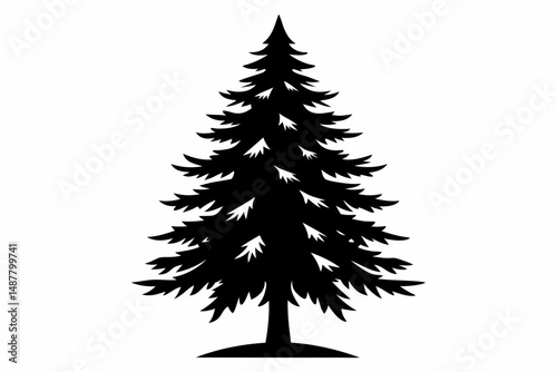 spruce tree silhouette line art vector illustration with a white background