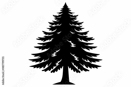 spruce tree silhouette line art vector illustration with a white background