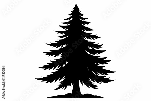 spruce tree silhouette line art vector illustration with a white background