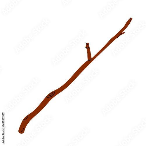 Dry wooden tree branch isolated on white backgound. Dry tree branches illustration. 