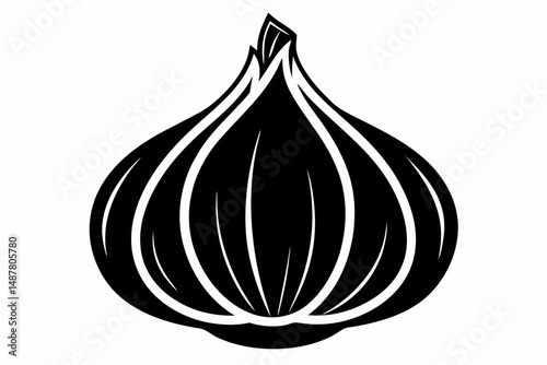 garlic silhouette line art vector illustration with a white background