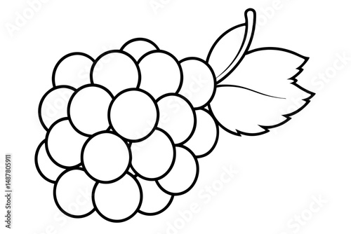 grapes silhouette line art vector illustration with a white background