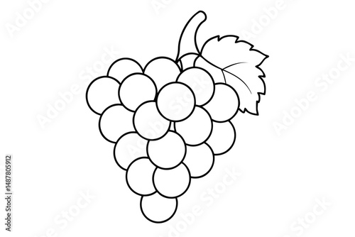 grapes silhouette line art vector illustration with a white background