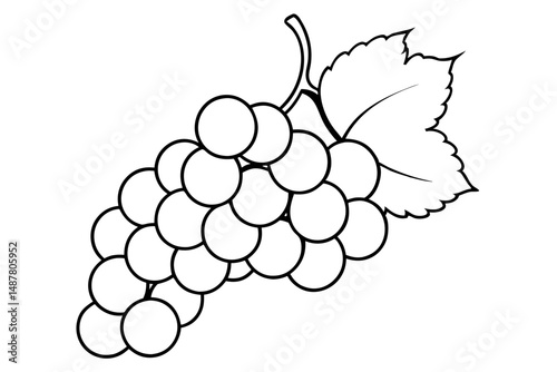 grapes silhouette line art vector illustration with a white background