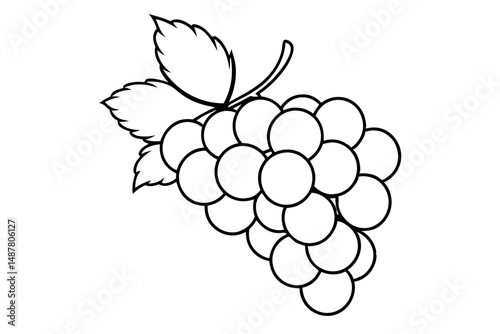 grapes silhouette line art vector illustration with a white background