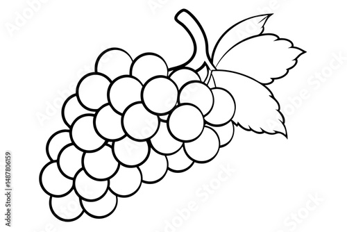 bunch of grapes