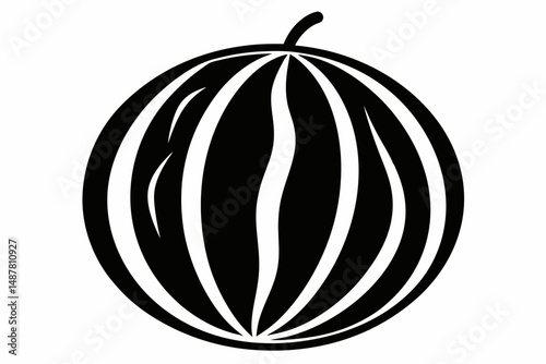 watermelon vector on white background
