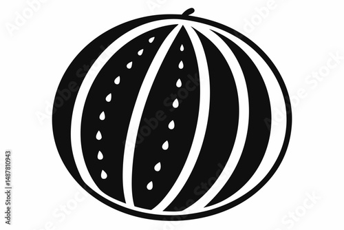 watermelon vector on white background
