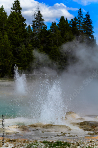 Geysers with hot water spew steam in Yellowstone National Park, USA photo