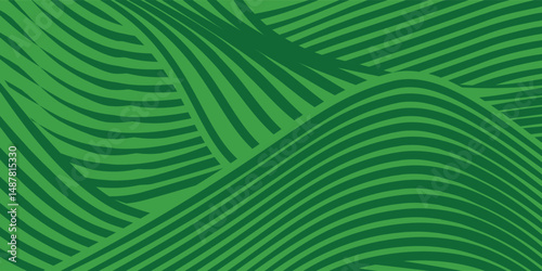 farm green banner, organic abstract background with fields. wavy green lines, natural organic products. ecology background. striped farmer green Pattern
