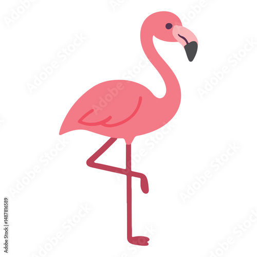 Zoo Flamingo illustration, Colorful Flamingo vector, Colorful Safari Animal Clipart, Animal design sublimation
