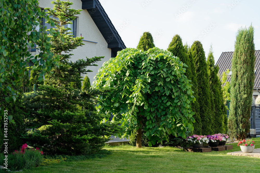 Fototapeta premium Przydomowy ogród