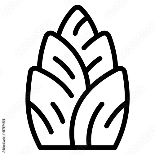 Bamboo Shoot