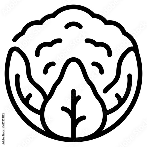 Cauliflower