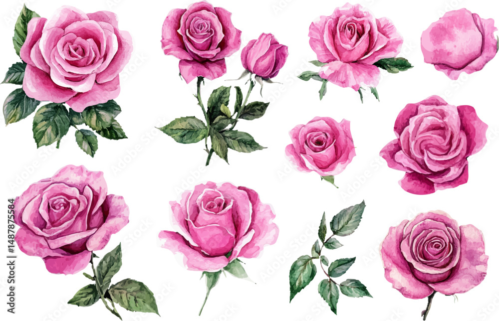 Fototapeta premium watercolor pink roses flowers