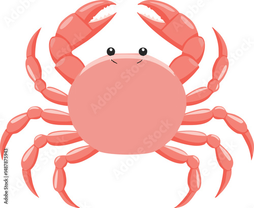 crab isolated on white background