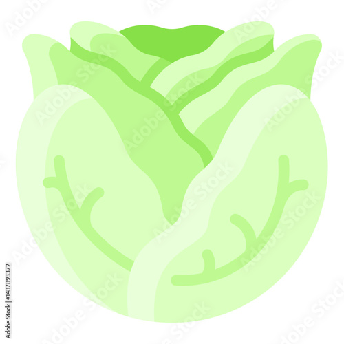 Cabbage