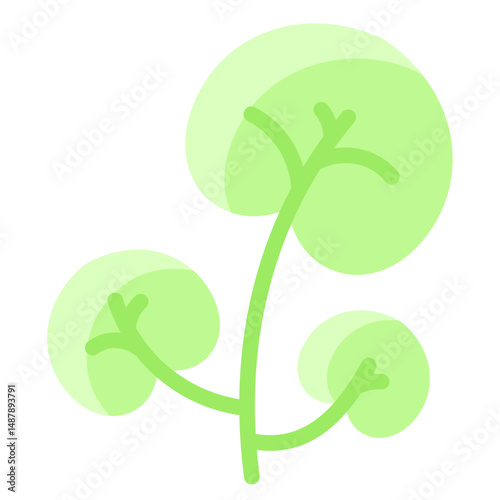 Watercress