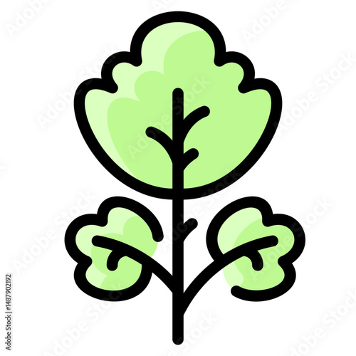 Parsley