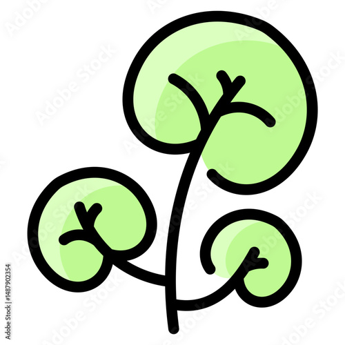 Watercress