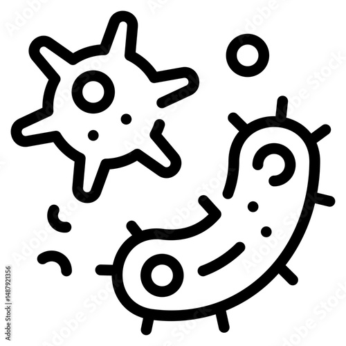 Bacteria