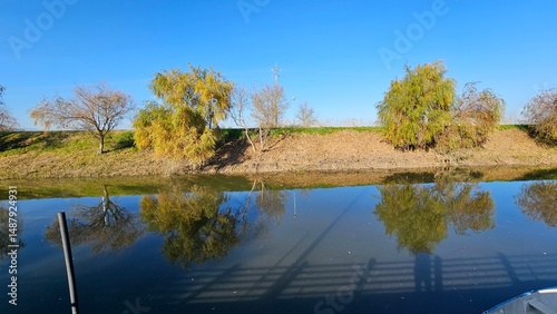 Still water reflecting trees and blue sky along a peaceful canal