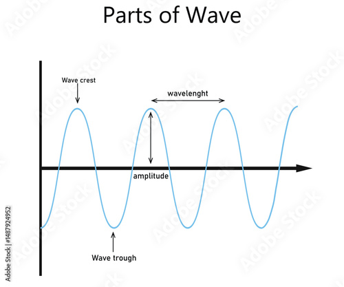 Parts of a transverse wave. Physics Vector Illustration Showing Crest, Trough, Amplitude, and Wavelength Properties