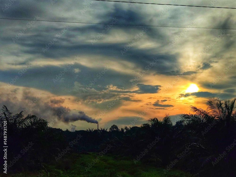 Fototapeta premium palm oil plantations and smoke from palm oil processing factories