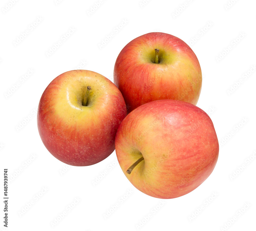 Red Yellow Apples on PNG Transparent Background. Cut out Clipping Path With Adobe Photoshops Pen Tool. Red Yellow Apples on PNG Transparent Background. Cut out Clipping Path With Adobe Photoshops Pen Tool.
