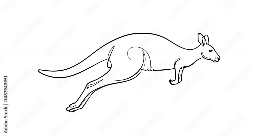 Fototapeta premium Kangaroo line drawing illustration