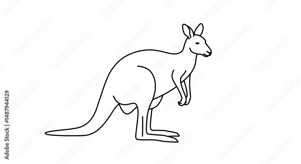Fototapeta premium Kangaroo line drawing illustration
