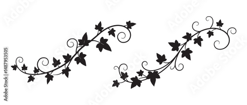Floral Vine Leaf Silhouette Vector with Swirls for Decorative Art and Design