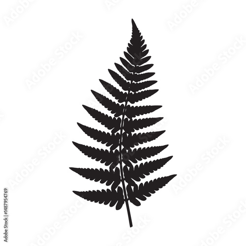 Fern Frond Silhouette Vector Illustration for Wild Nature Artwork