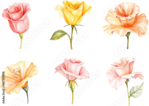 Collection of Delicate Watercolor Roses and a Single Flower in Pastel Shades